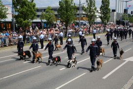 Fédération Nationale des Pompiers